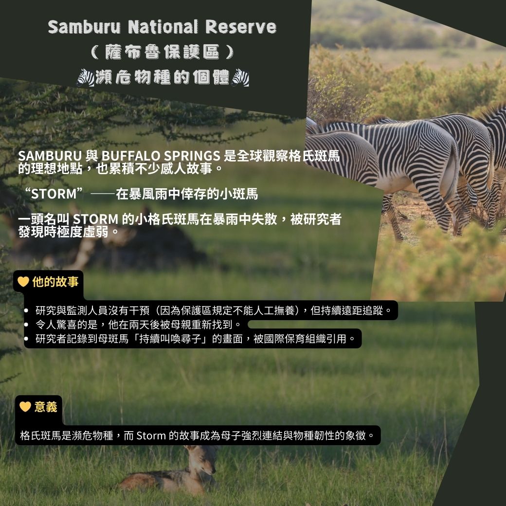 Samburu6.jpg