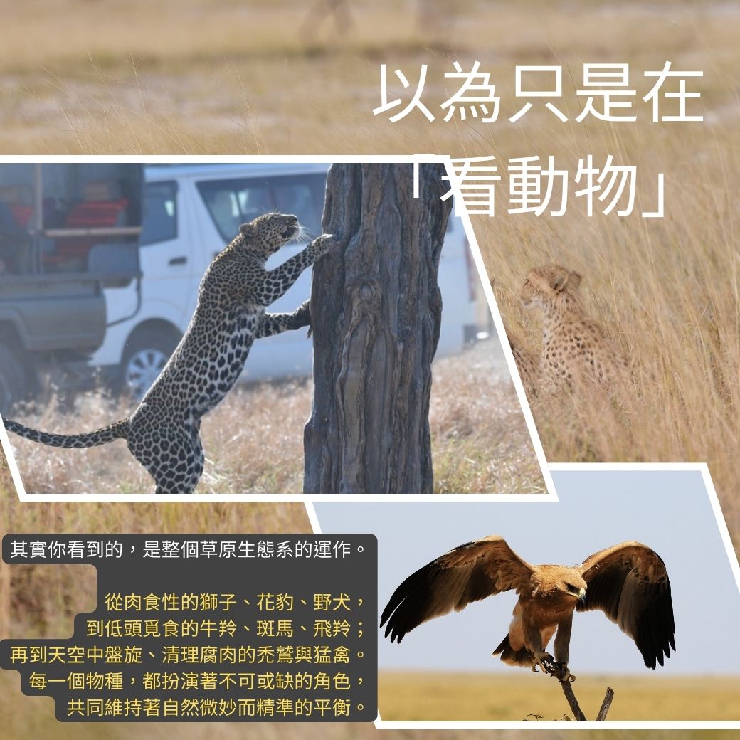肯亞8個誤解8.jpg