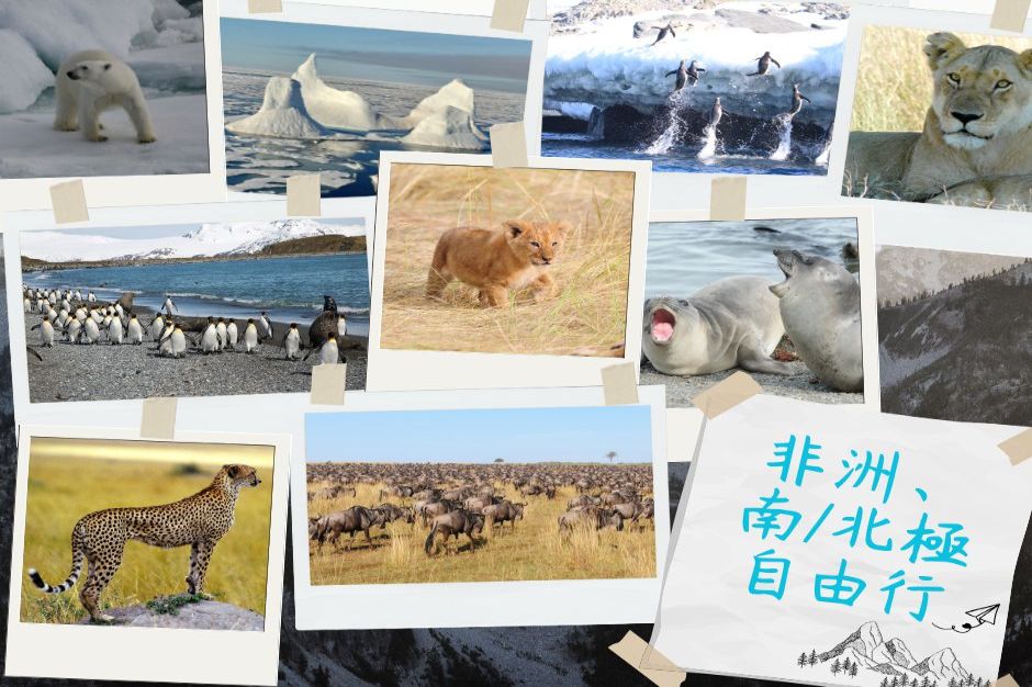 南/北極、非洲~~獨一無二~自由行-行程說明
